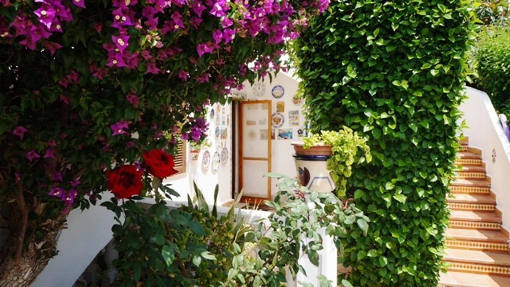 Apartament Patio Andaluz Denia Zewnętrze zdjęcie